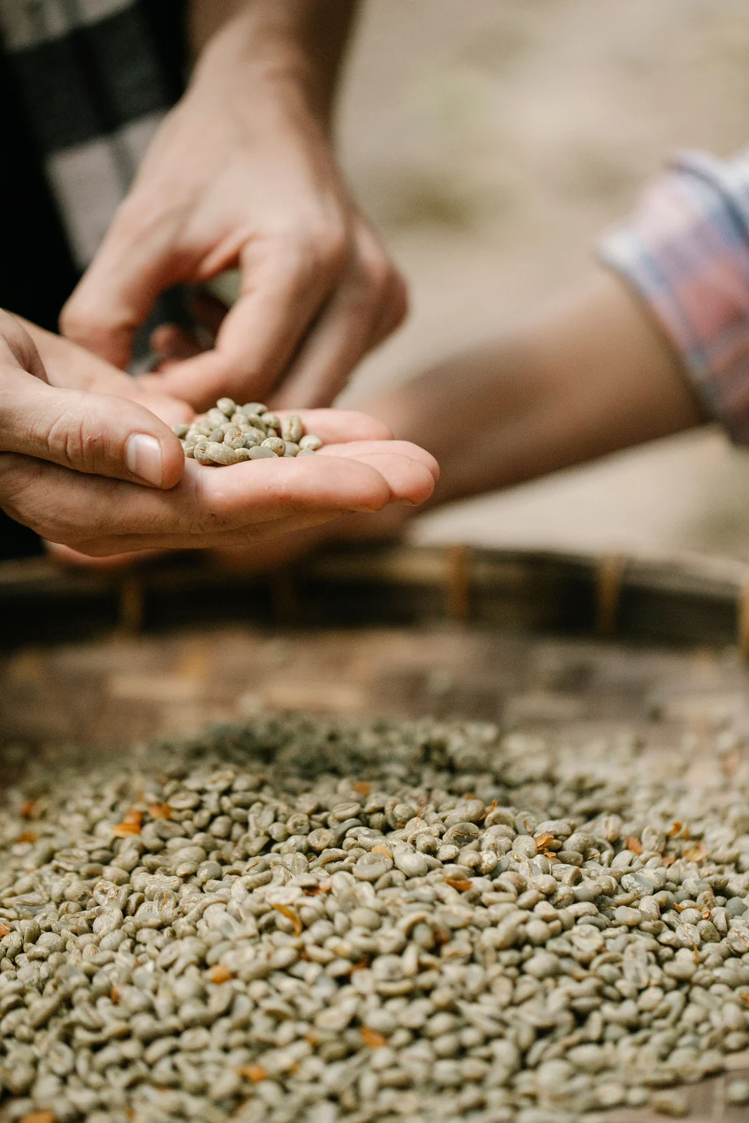Representative coffee image for this market update