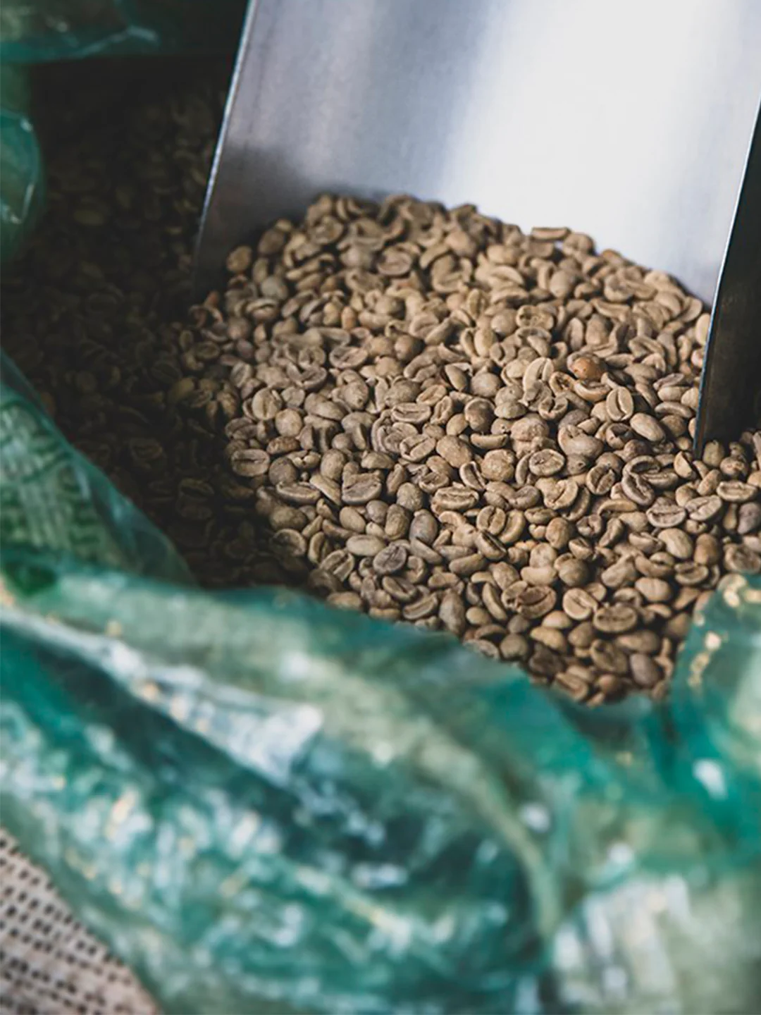 Unroasted green coffee beans