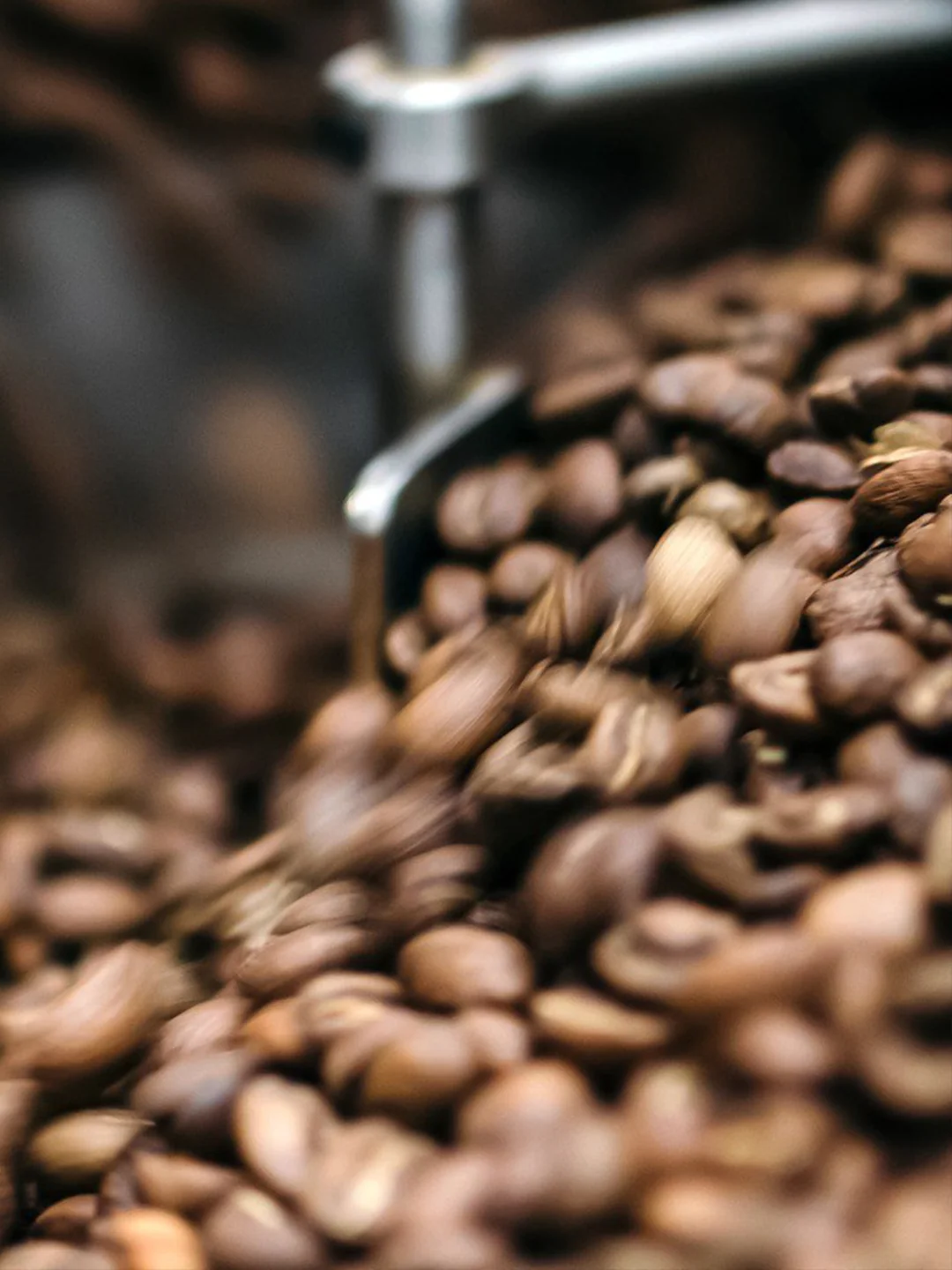 Roasted coffee beans